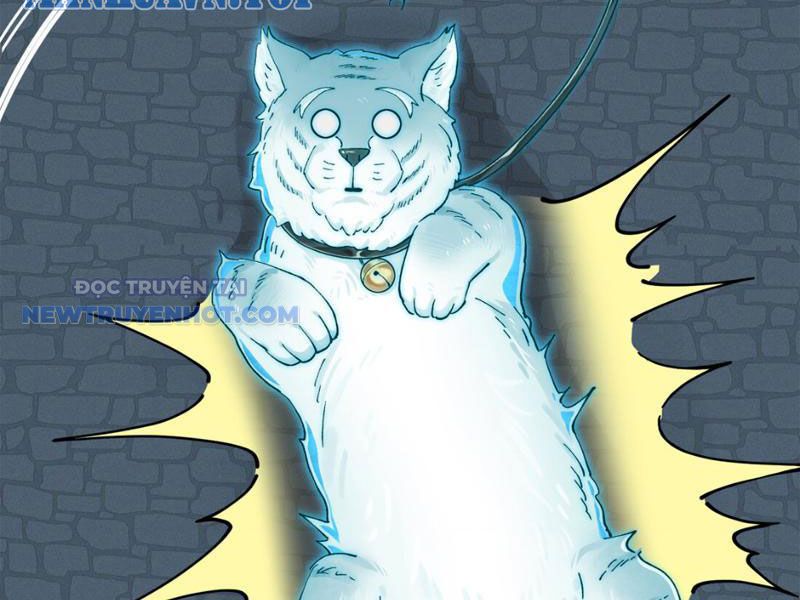 Đối Mặt Với Bệnh Tâm Thần, Ma Quỷ Chẳng Là Cái Thá Gì Chapter 8 - Trang 2