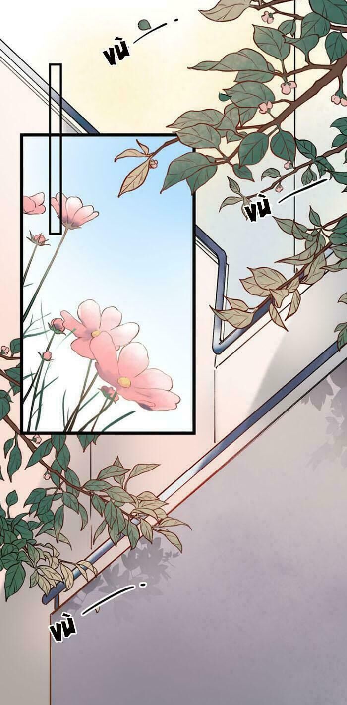 Đom Đóm Trên Dòng Sông Cô Quạnh Chapter 16 - Trang 2