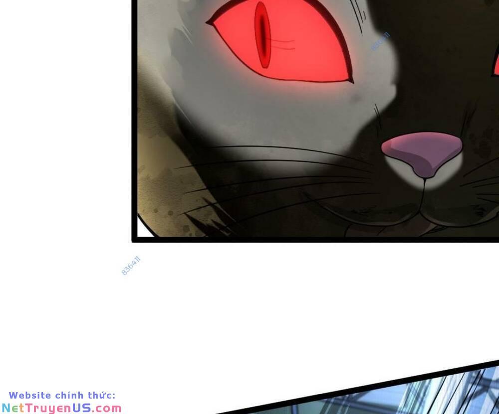 Đóng Băng Toàn Cầu: Tôi Gây Dựng Nên Phòng An Toàn Thời Tận Chapter 147 - Trang 2