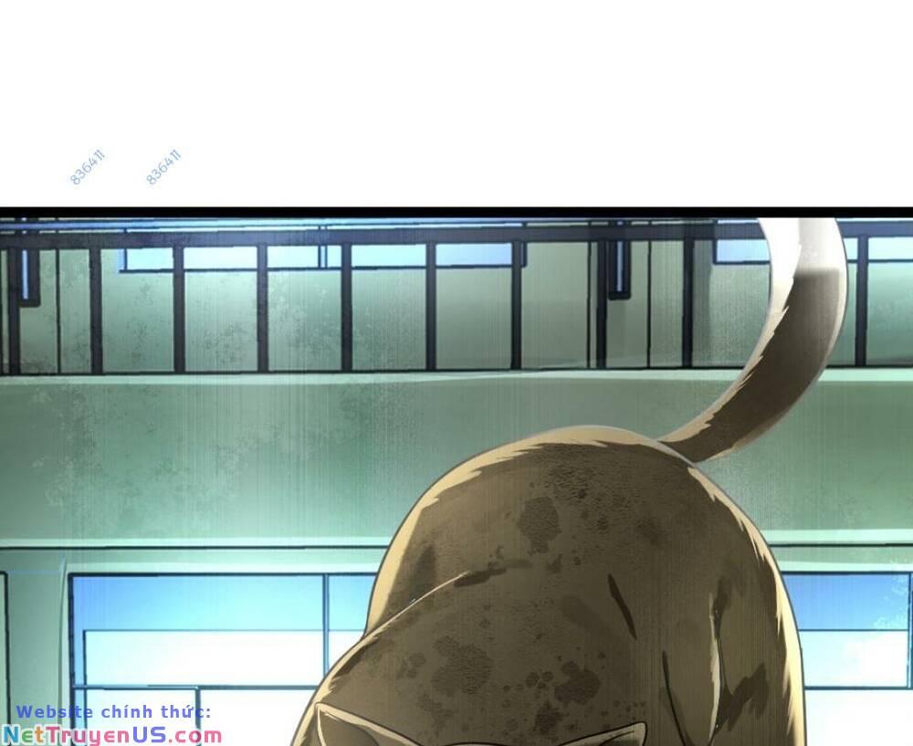 Đóng Băng Toàn Cầu: Tôi Gây Dựng Nên Phòng An Toàn Thời Tận Chapter 149 - Trang 2