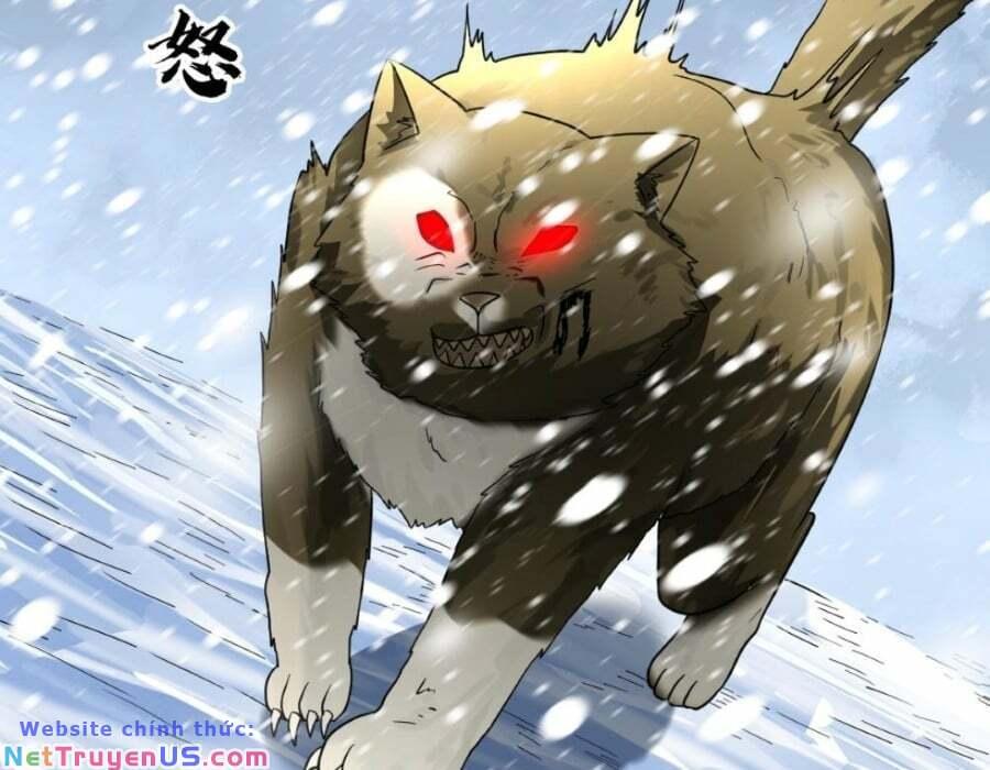 Đóng Băng Toàn Cầu: Tôi Gây Dựng Nên Phòng An Toàn Thời Tận Chapter 151 - Trang 2