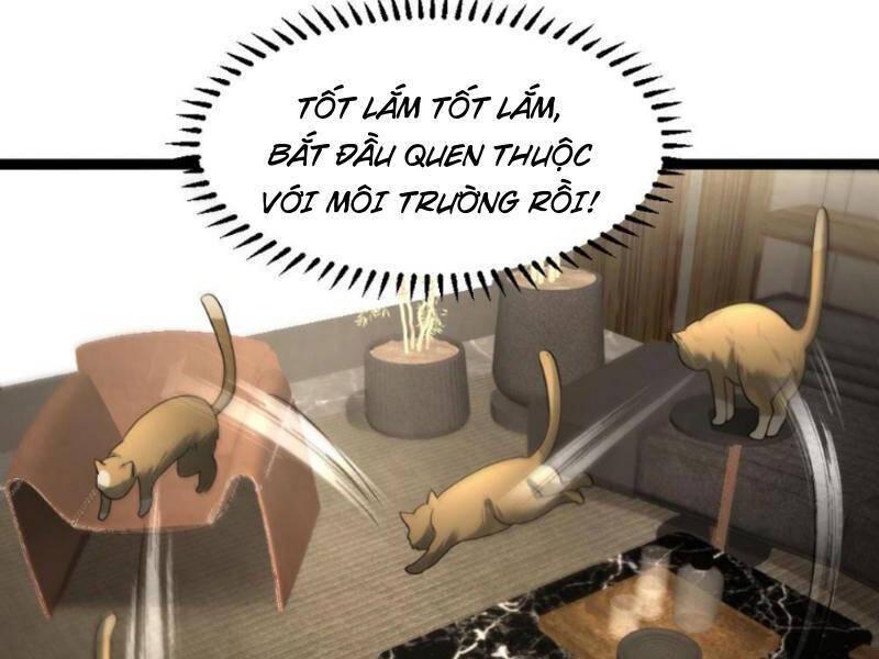 Đóng Băng Toàn Cầu: Tôi Gây Dựng Nên Phòng An Toàn Thời Tận Chapter 176 - Trang 2