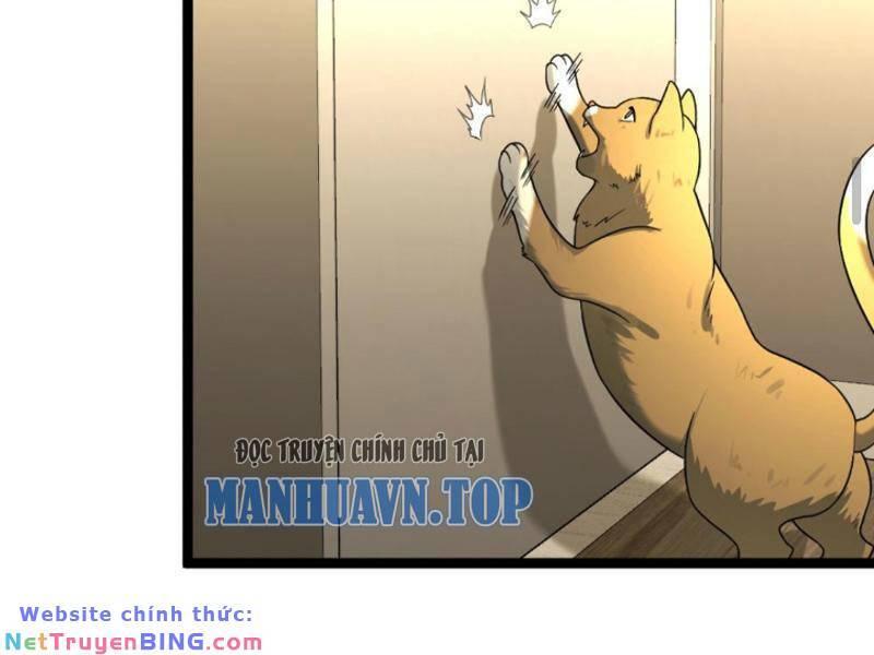 Đóng Băng Toàn Cầu: Tôi Gây Dựng Nên Phòng An Toàn Thời Tận Chapter 184 - Trang 2