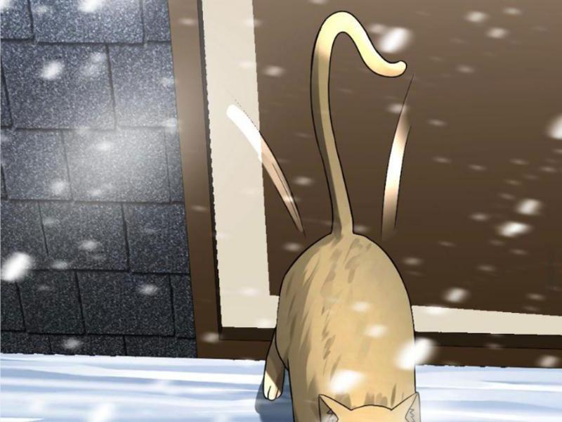 Đóng Băng Toàn Cầu: Tôi Gây Dựng Nên Phòng An Toàn Thời Tận Chapter 284 - Trang 2