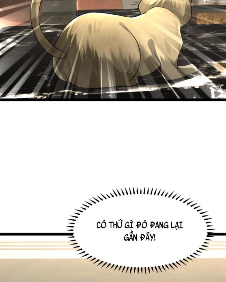 Đóng Băng Toàn Cầu: Tôi Gây Dựng Nên Phòng An Toàn Thời Tận Chapter 312 - Trang 2