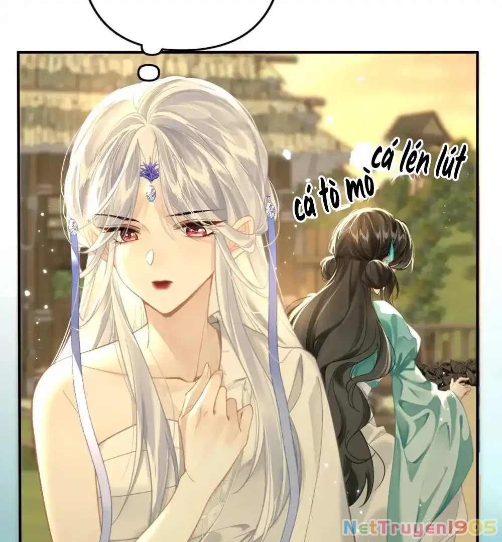 Đông Hải Tìm Mỹ Nhân Chapter 10 - Trang 2
