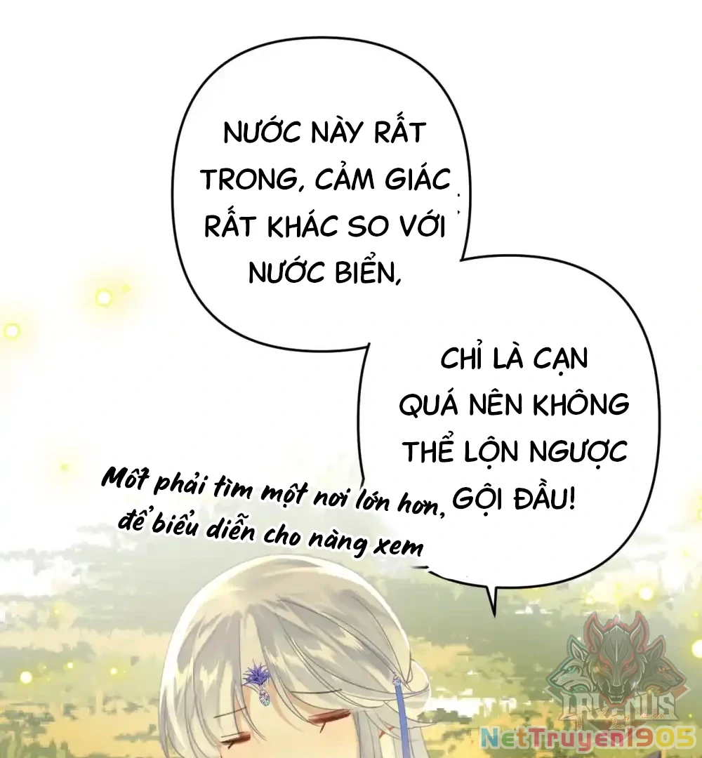 Đông Hải Tìm Mỹ Nhân Chapter 10 - Trang 2