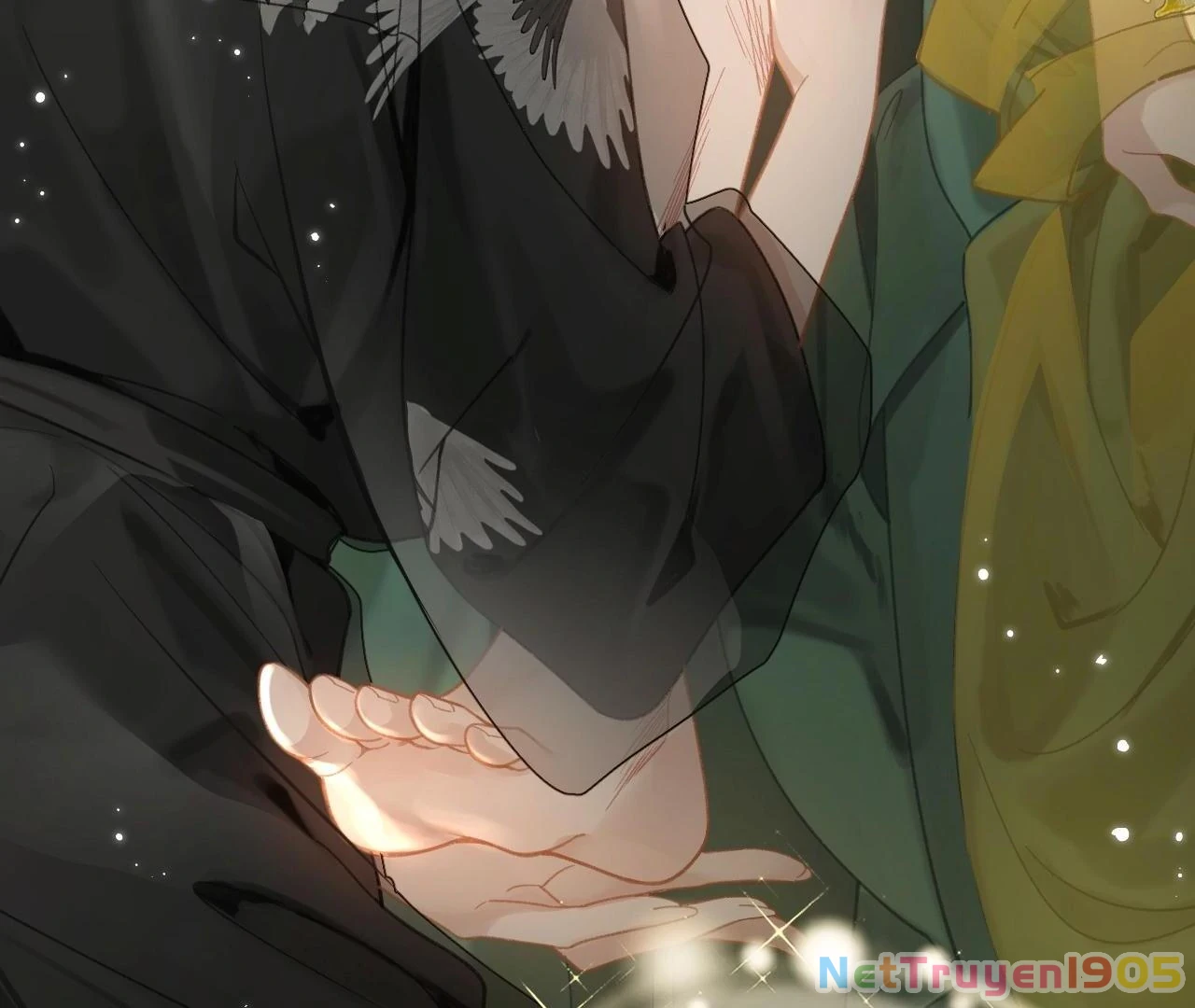 Đông Hải Tìm Mỹ Nhân Chapter 10 - Trang 2