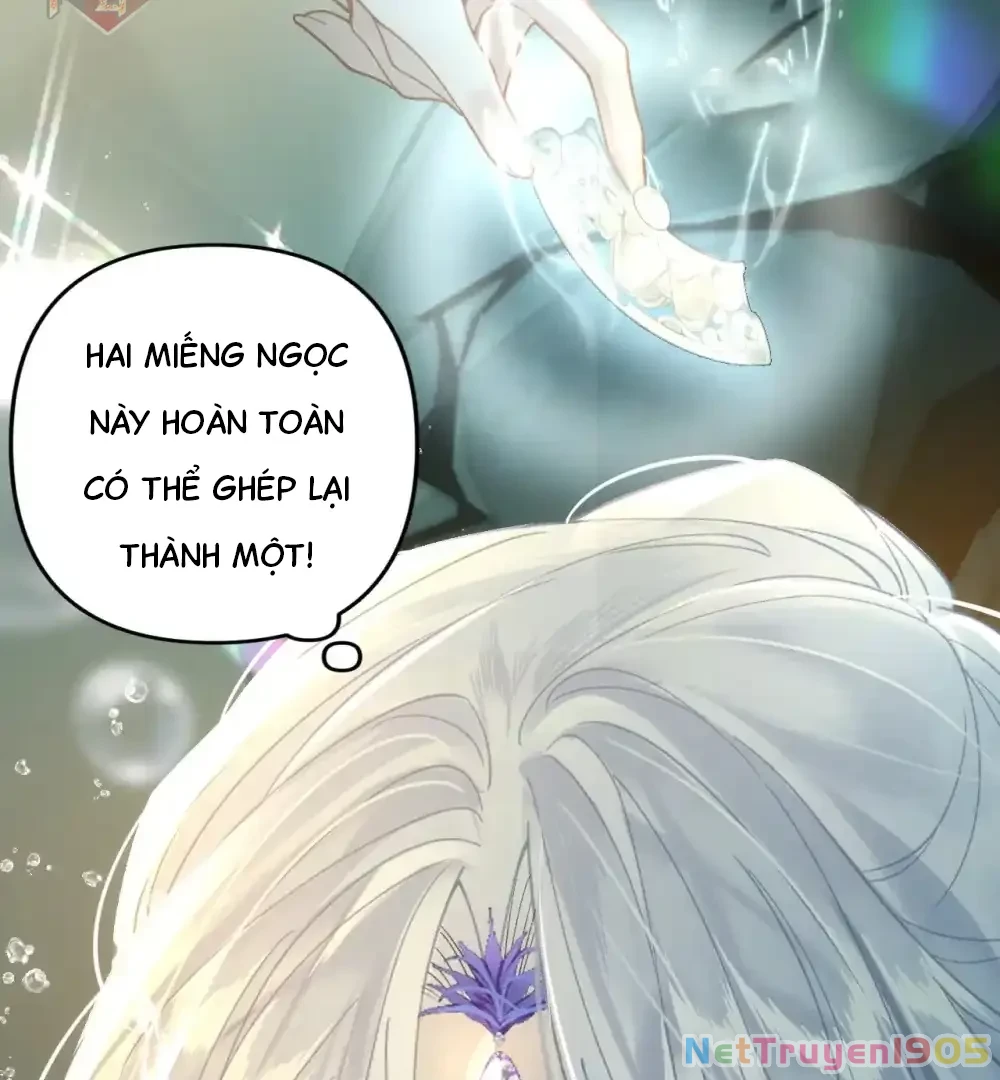 Đông Hải Tìm Mỹ Nhân Chapter 10 - Trang 2