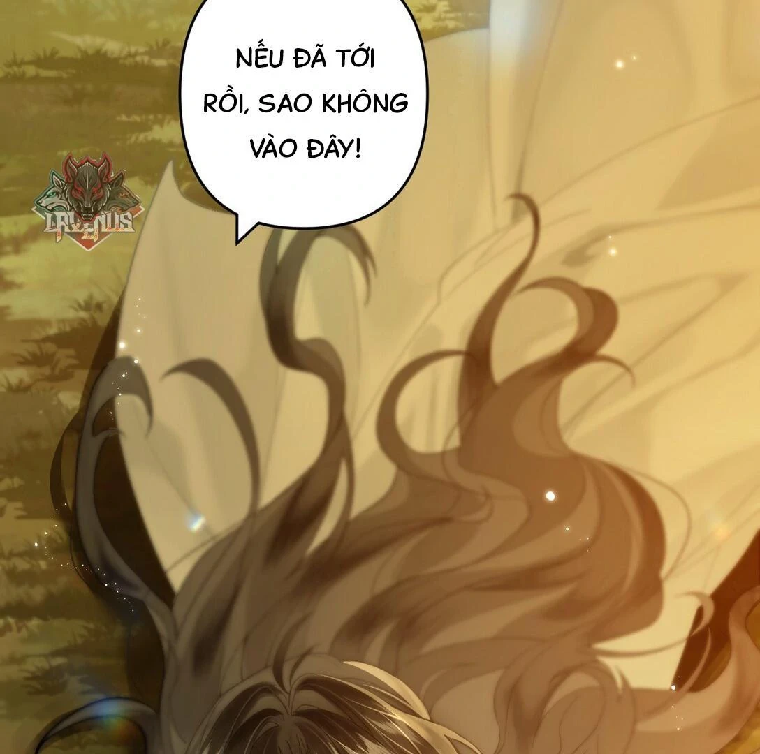 Đông Hải Tìm Mỹ Nhân Chapter 12 - Trang 2