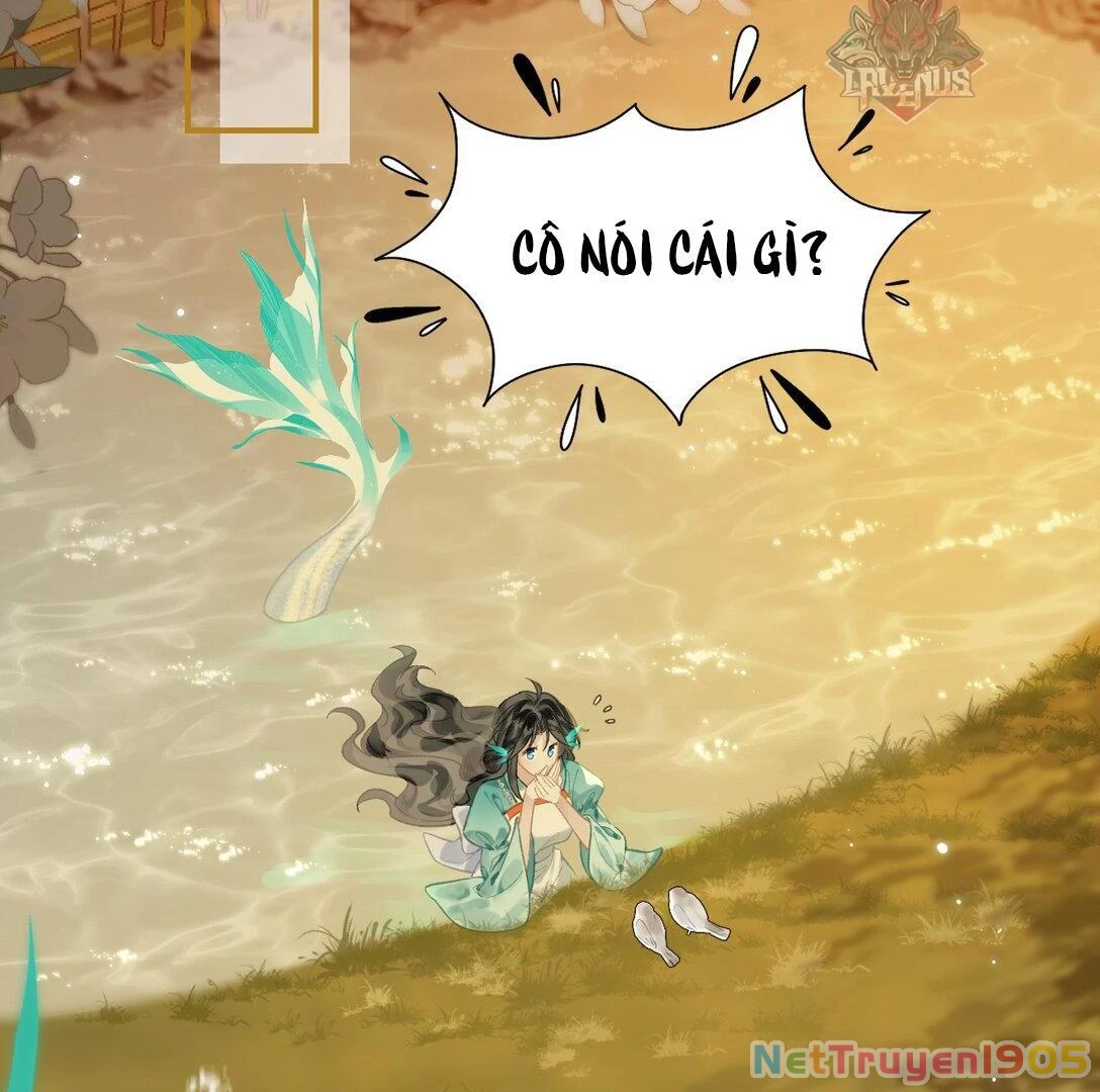 Đông Hải Tìm Mỹ Nhân Chapter 12 - Trang 2