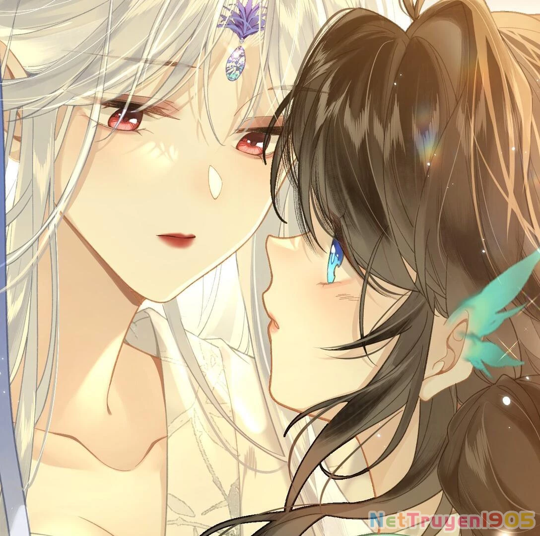 Đông Hải Tìm Mỹ Nhân Chapter 13 - Trang 2