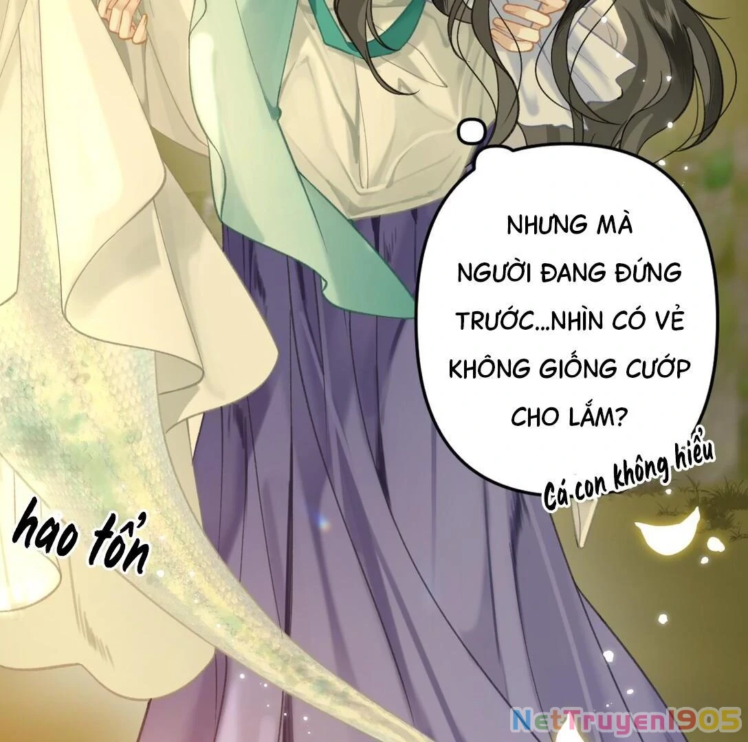 Đông Hải Tìm Mỹ Nhân Chapter 13 - Trang 2