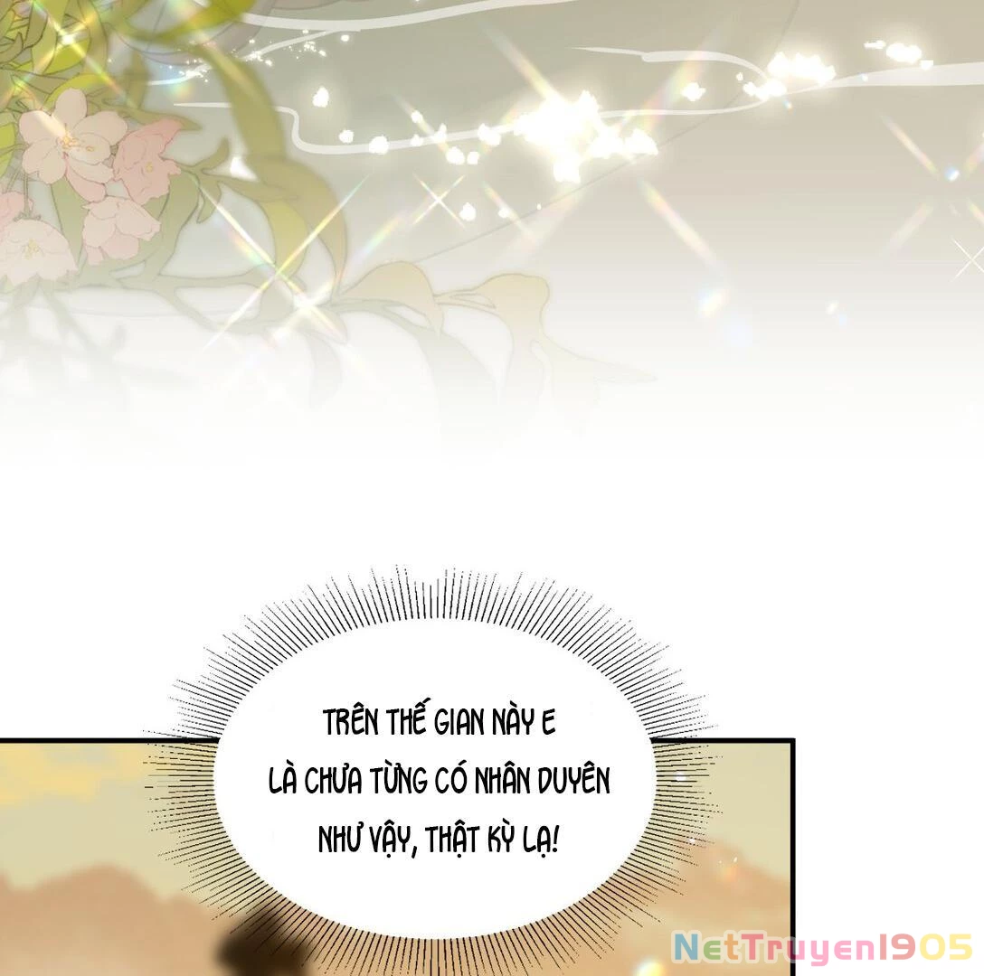 Đông Hải Tìm Mỹ Nhân Chapter 13 - Trang 2