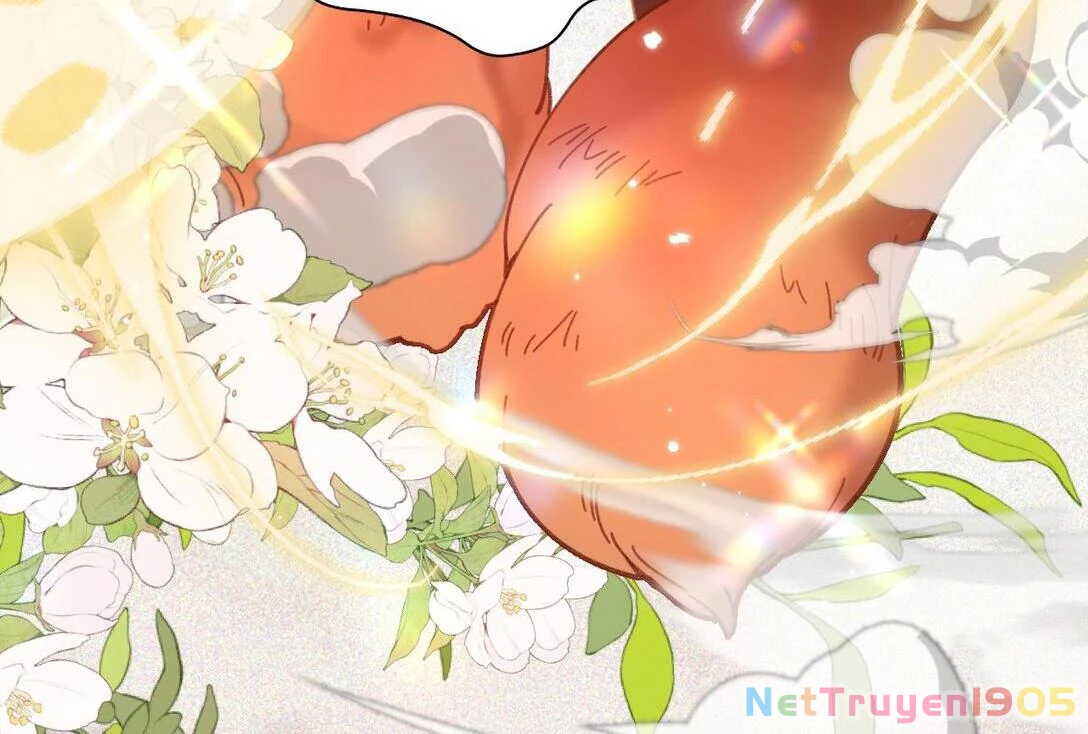 Đông Hải Tìm Mỹ Nhân Chapter 14 - Trang 2