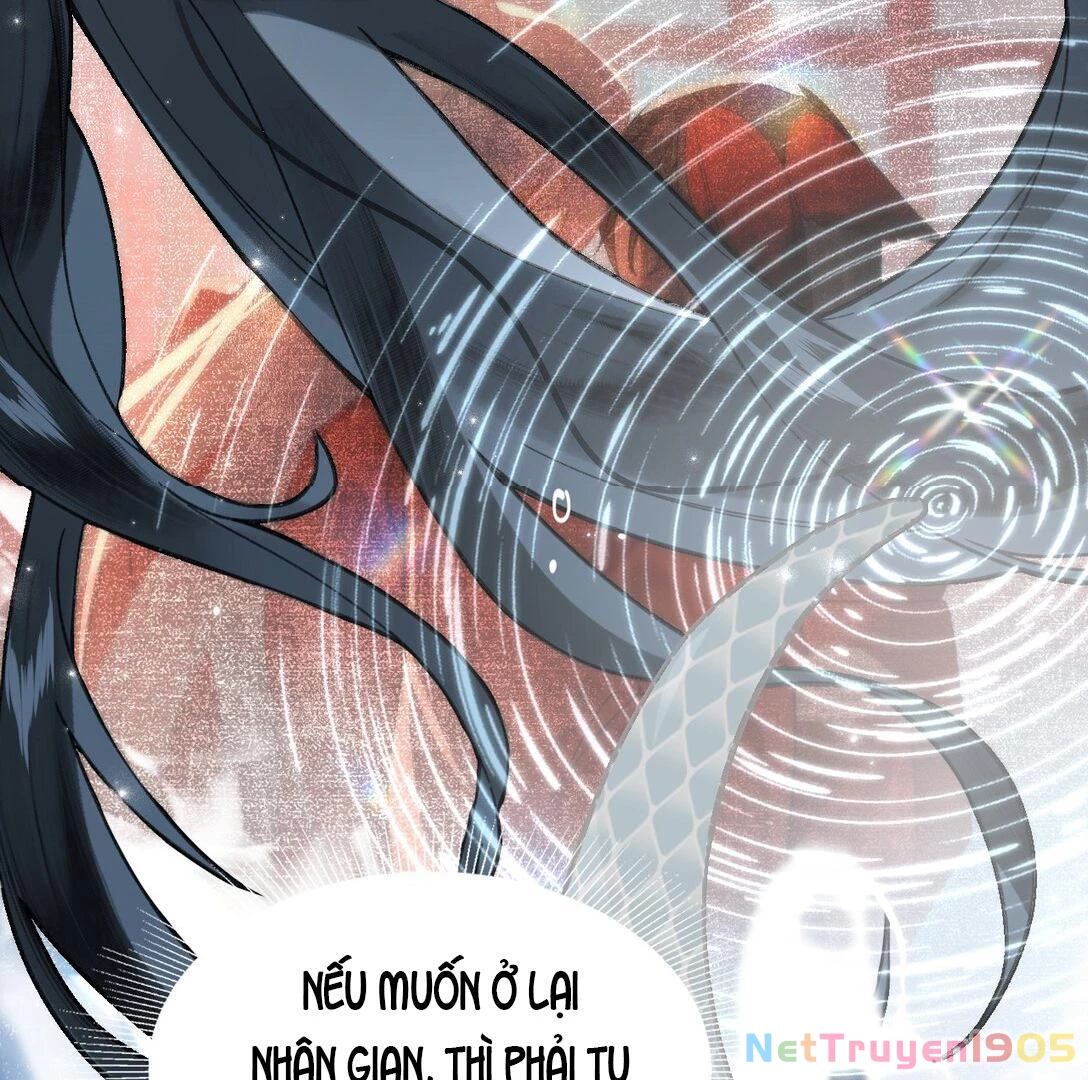 Đông Hải Tìm Mỹ Nhân Chapter 14 - Trang 2