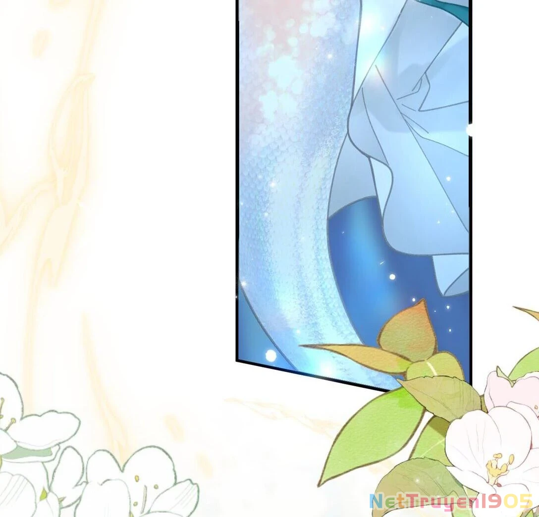 Đông Hải Tìm Mỹ Nhân Chapter 14 - Trang 2