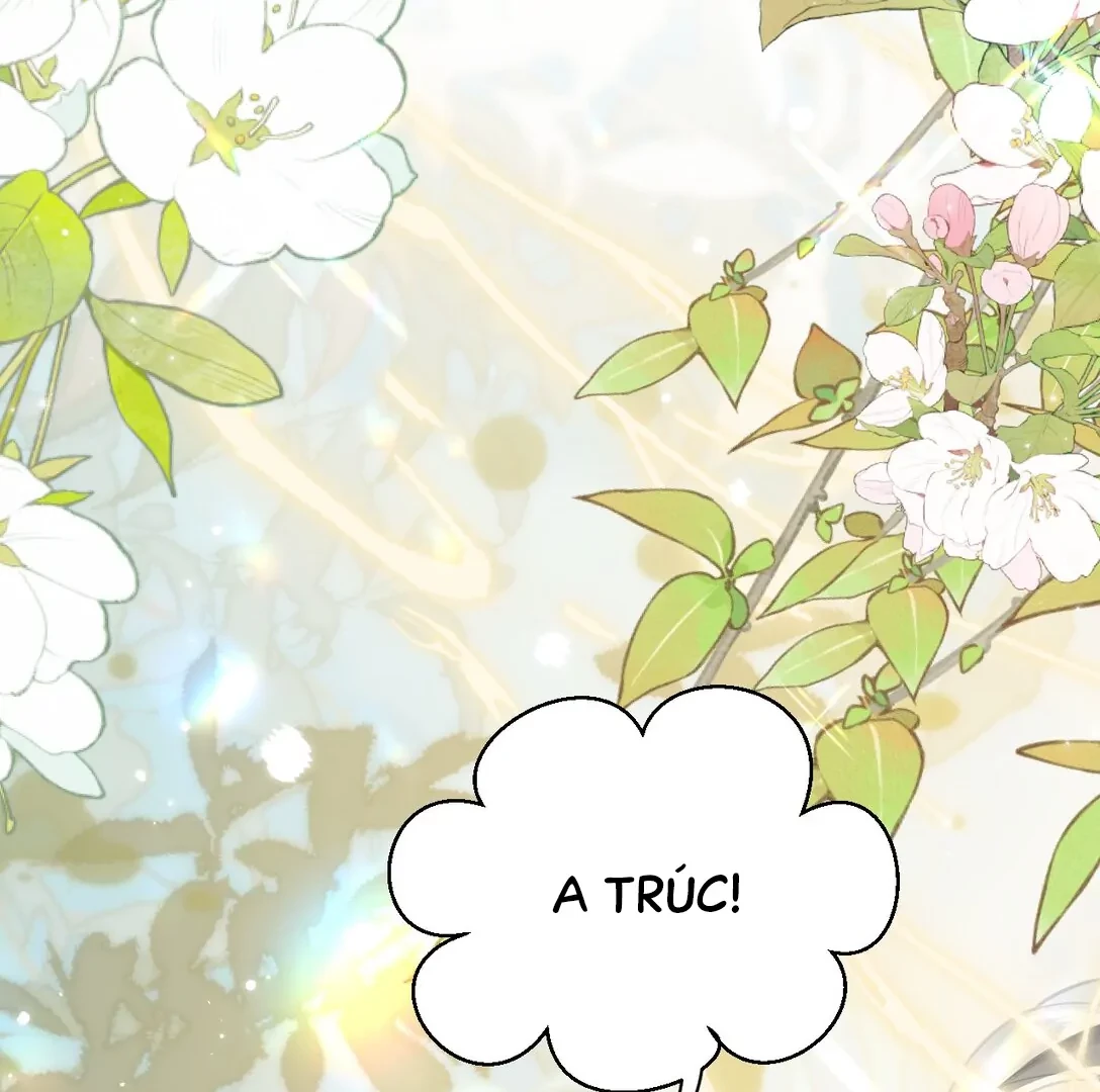 Đông Hải Tìm Mỹ Nhân Chapter 14 - Trang 2