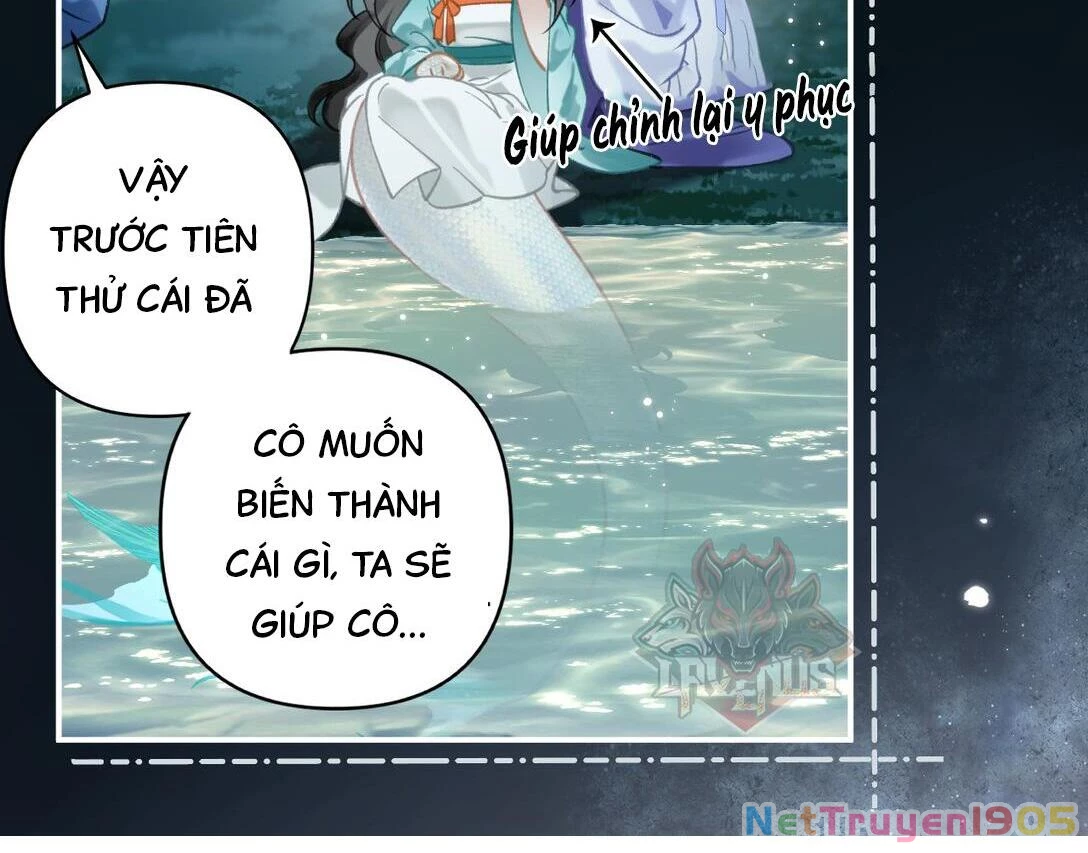 Đông Hải Tìm Mỹ Nhân Chapter 14 - Trang 2