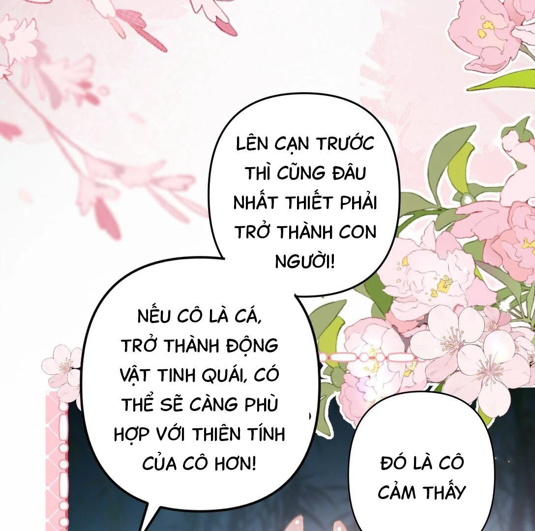 Đông Hải Tìm Mỹ Nhân Chapter 14 - Trang 2