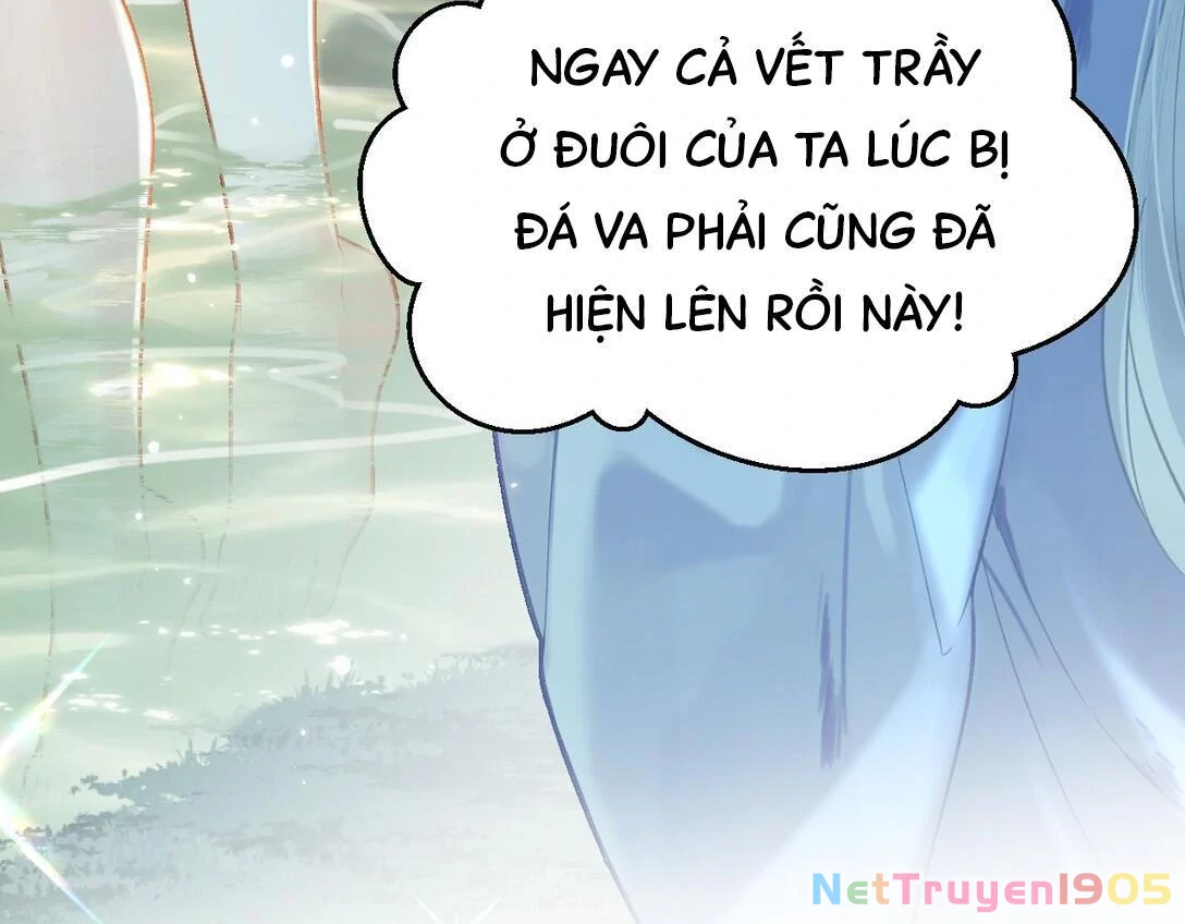 Đông Hải Tìm Mỹ Nhân Chapter 15 - Trang 2