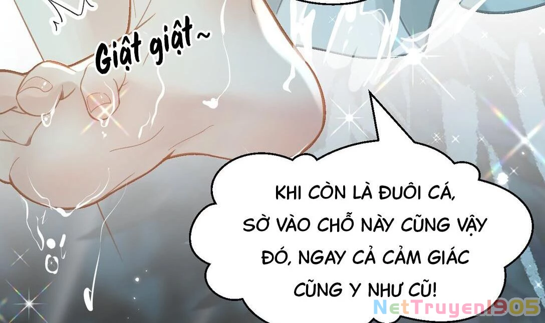Đông Hải Tìm Mỹ Nhân Chapter 15 - Trang 2