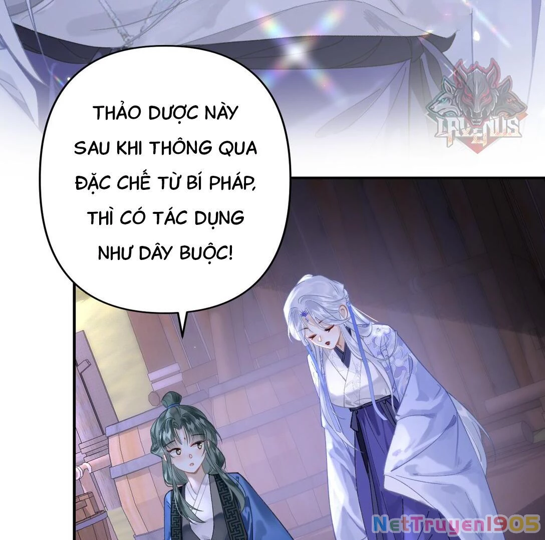 Đông Hải Tìm Mỹ Nhân Chapter 15 - Trang 2