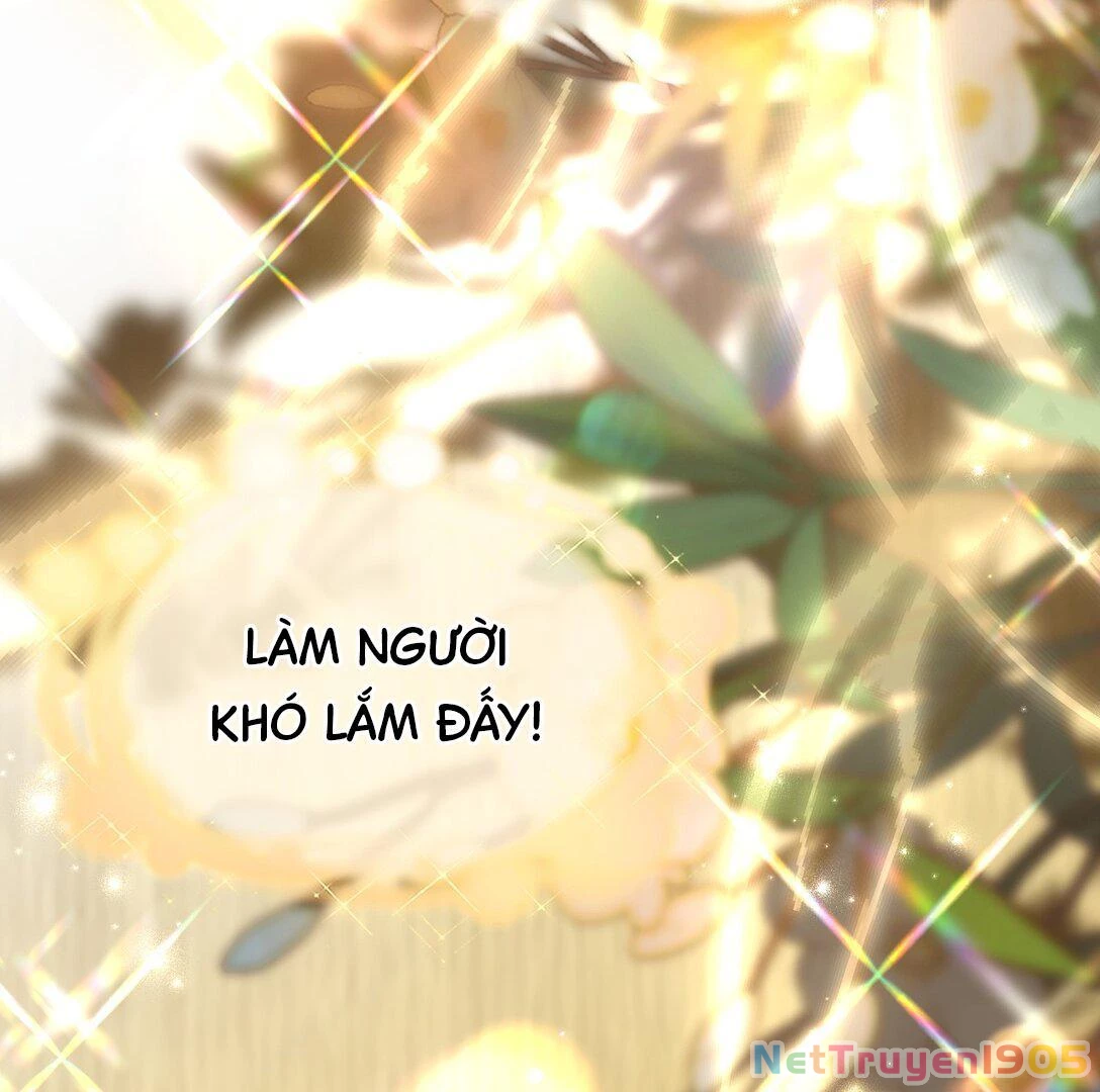 Đông Hải Tìm Mỹ Nhân Chapter 16 - Trang 2