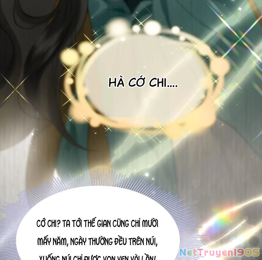 Đông Hải Tìm Mỹ Nhân Chapter 16 - Trang 2