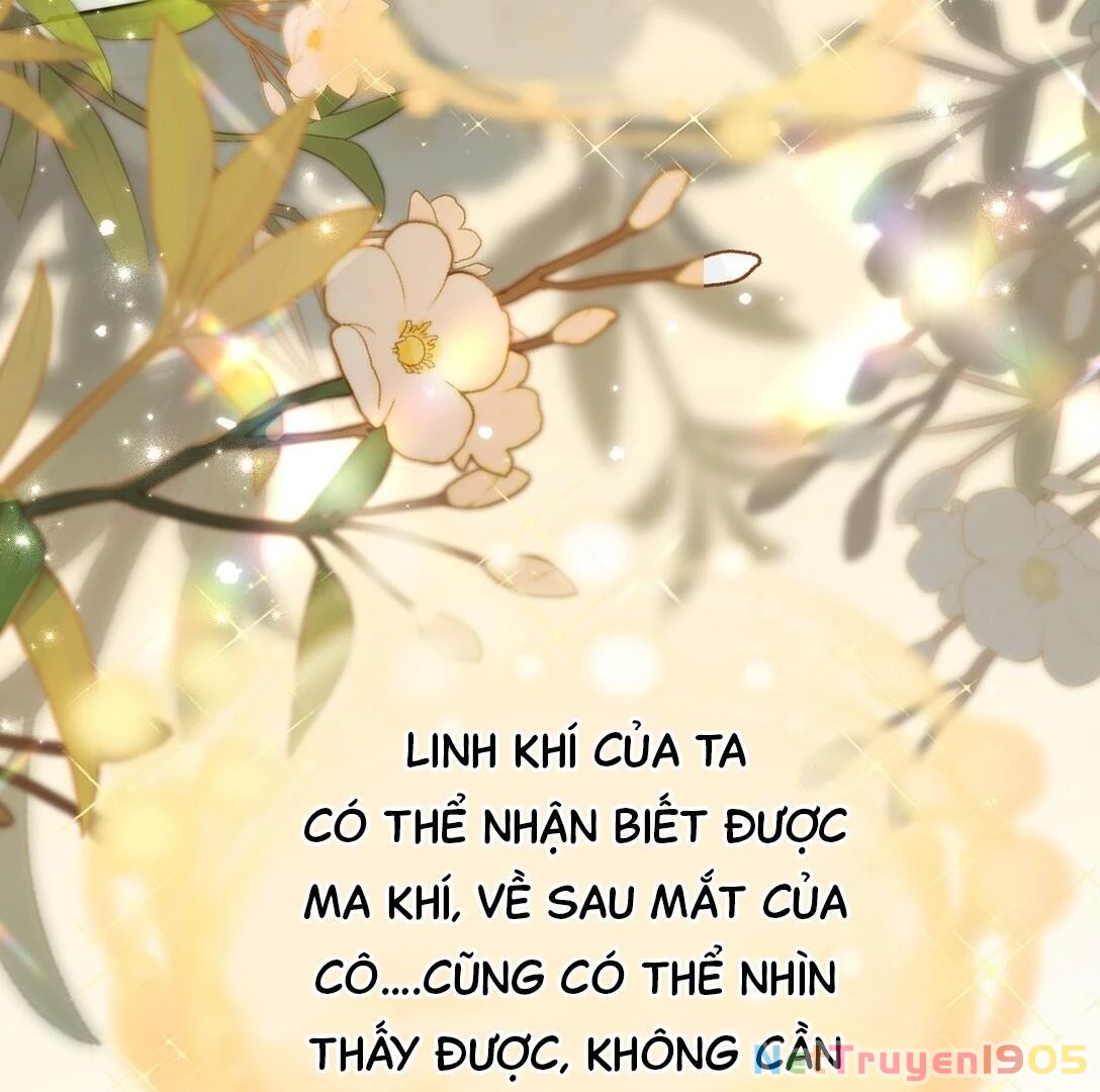 Đông Hải Tìm Mỹ Nhân Chapter 16 - Trang 2
