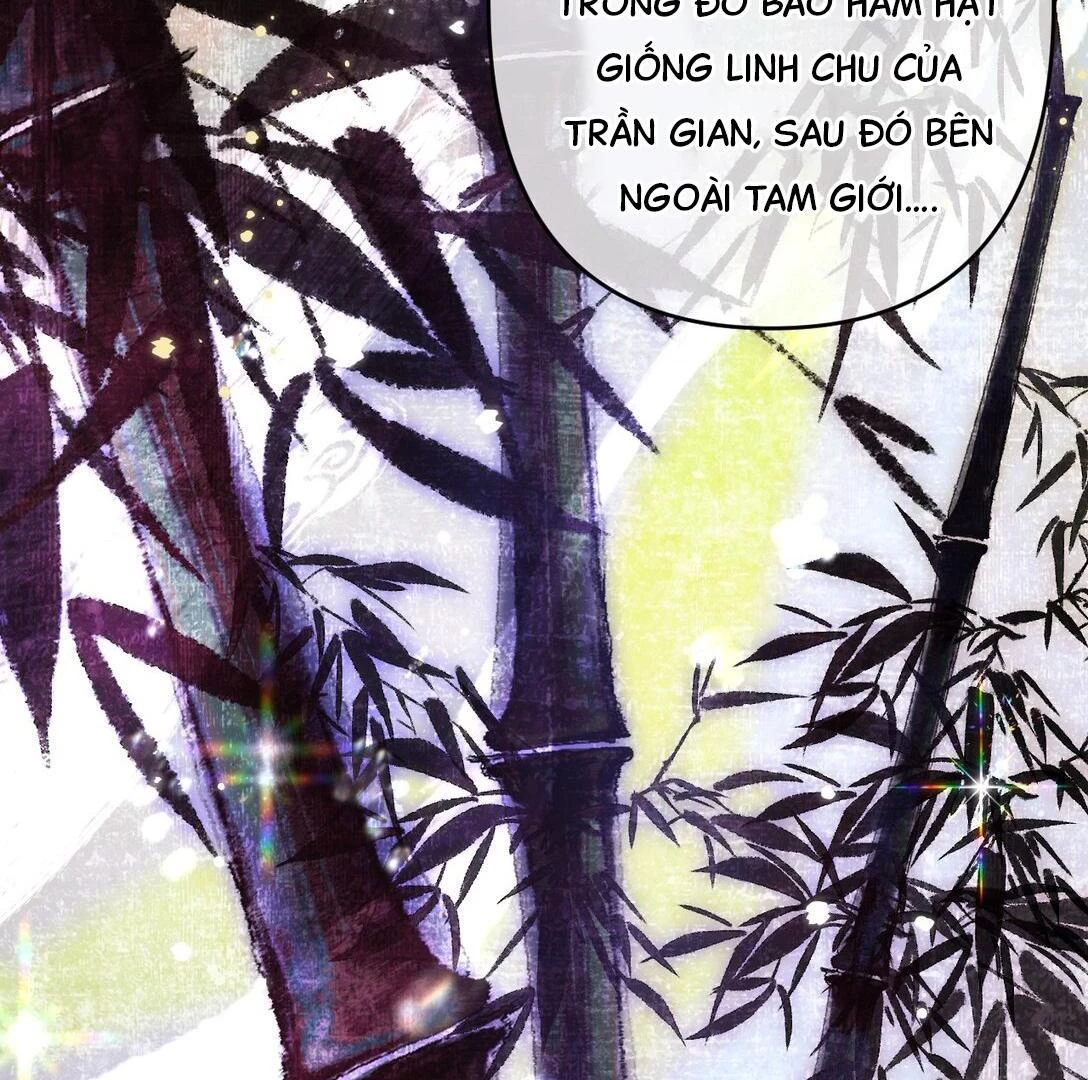 Đông Hải Tìm Mỹ Nhân Chapter 16 - Trang 2