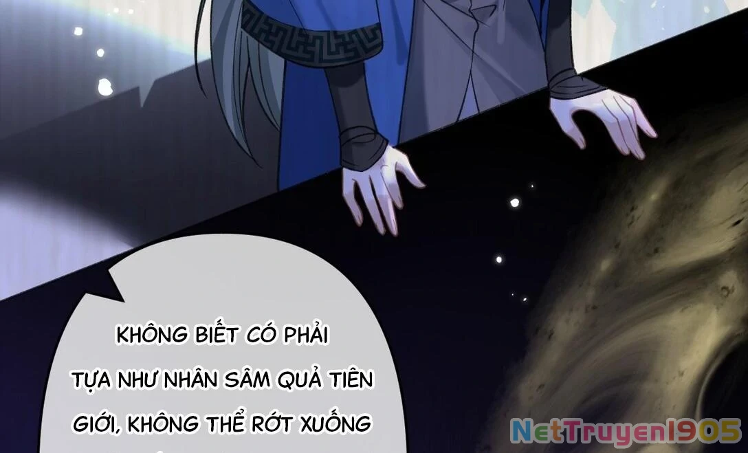 Đông Hải Tìm Mỹ Nhân Chapter 16 - Trang 2