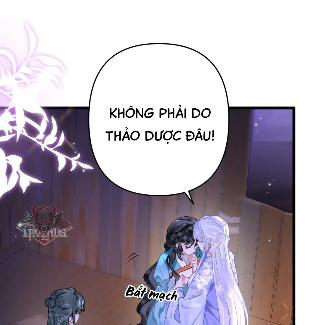 Đông Hải Tìm Mỹ Nhân Chapter 17 - Trang 2