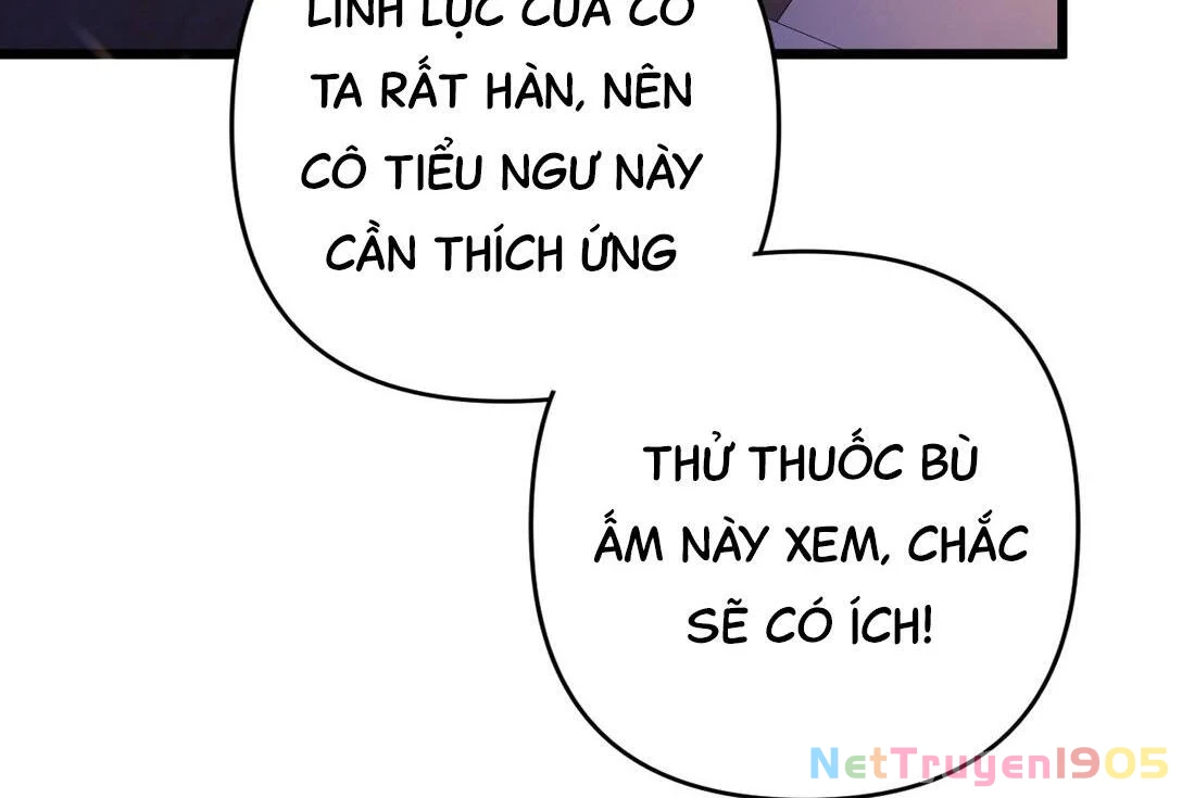 Đông Hải Tìm Mỹ Nhân Chapter 17 - Trang 2