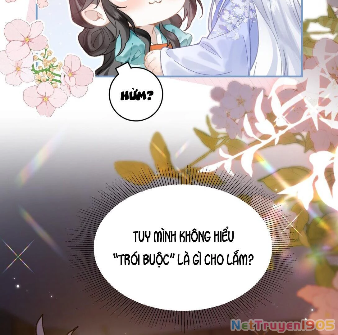 Đông Hải Tìm Mỹ Nhân Chapter 17 - Trang 2
