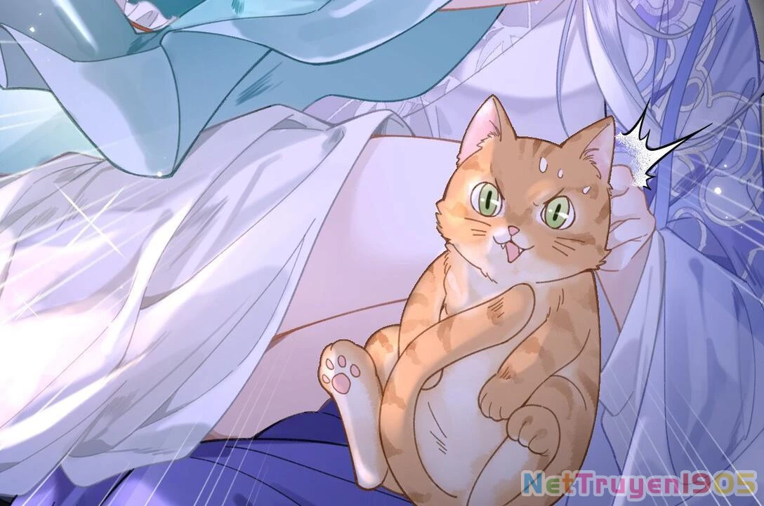 Đông Hải Tìm Mỹ Nhân Chapter 17 - Trang 2