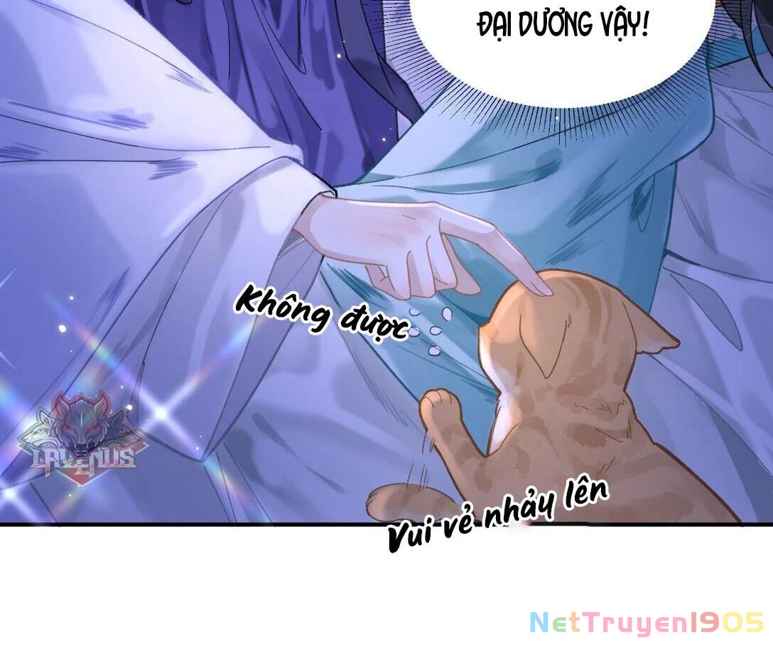Đông Hải Tìm Mỹ Nhân Chapter 17 - Trang 2