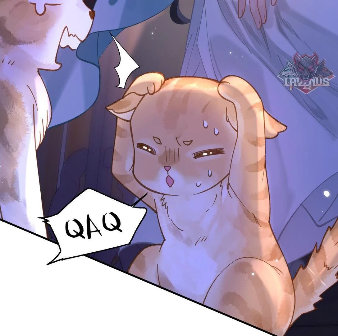 Đông Hải Tìm Mỹ Nhân Chapter 17 - Trang 2