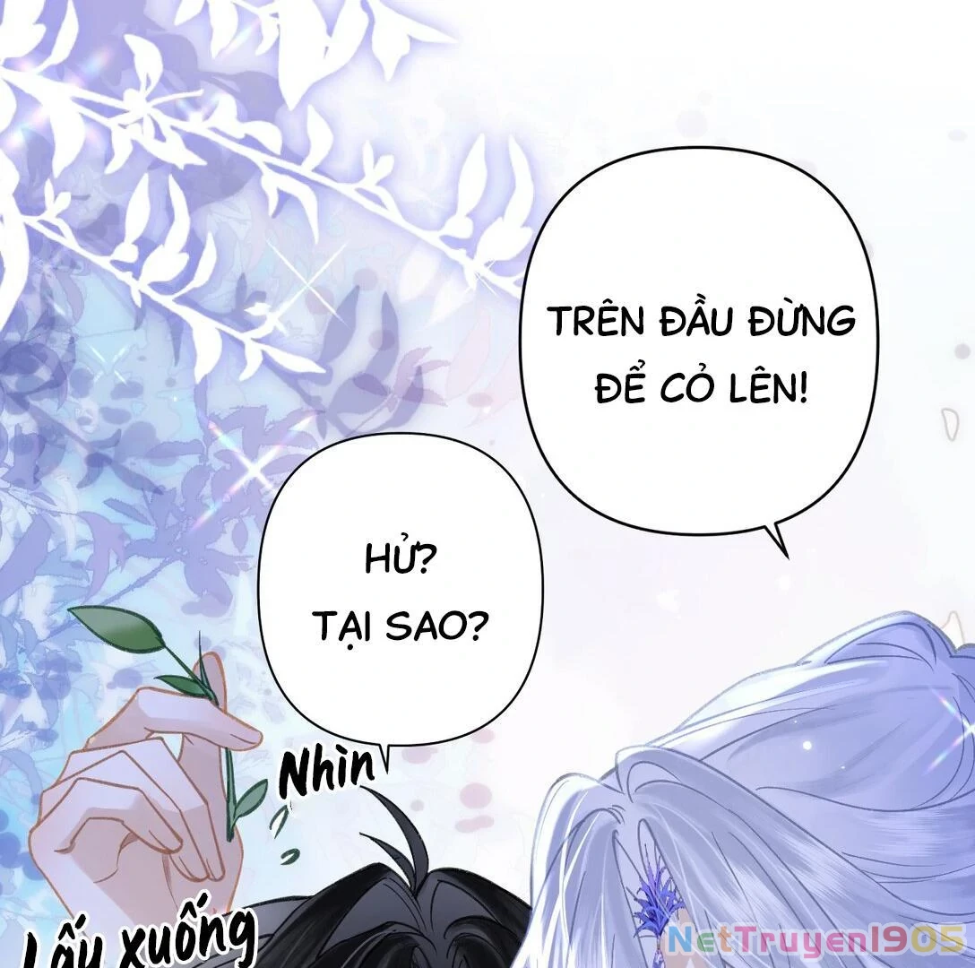 Đông Hải Tìm Mỹ Nhân Chapter 17 - Trang 2