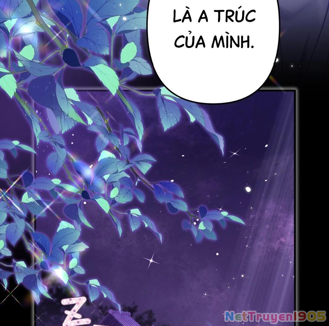 Đông Hải Tìm Mỹ Nhân Chapter 18 - Trang 2