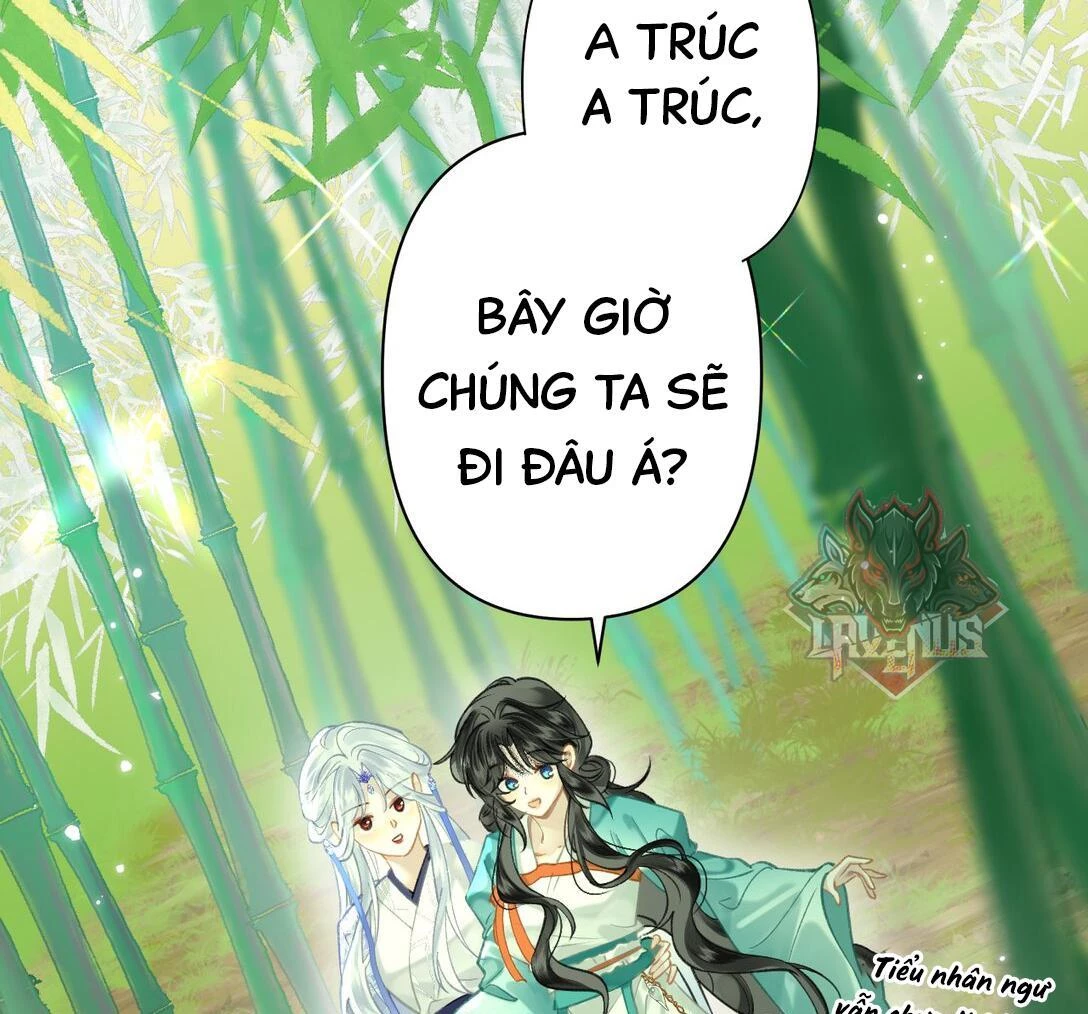 Đông Hải Tìm Mỹ Nhân Chapter 18 - Trang 2