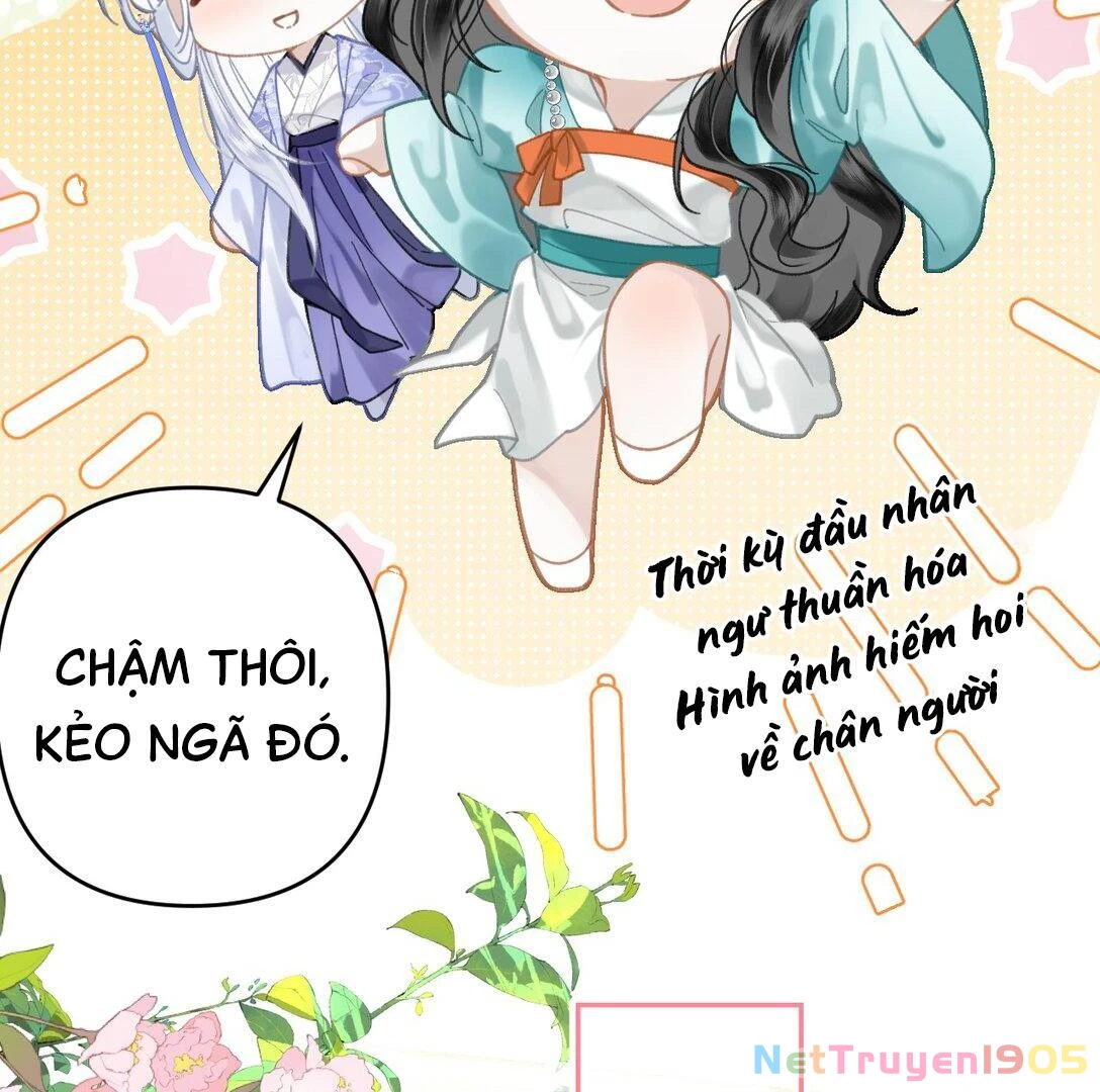 Đông Hải Tìm Mỹ Nhân Chapter 18 - Trang 2