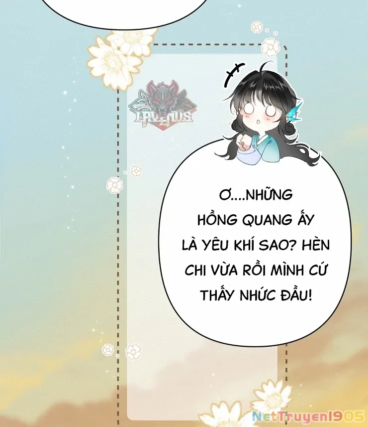 Đông Hải Tìm Mỹ Nhân Chapter 2 - Trang 2
