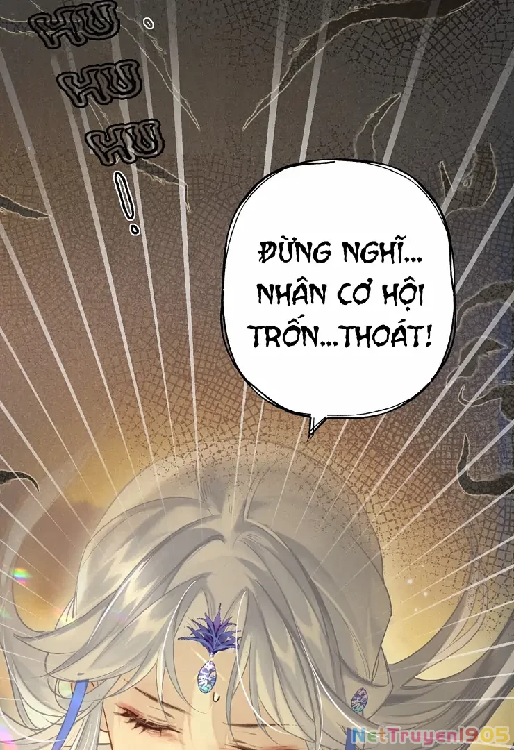 Đông Hải Tìm Mỹ Nhân Chapter 2 - Trang 2