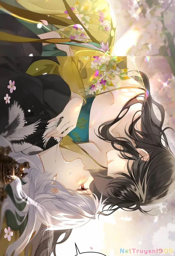 Đông Hải Tìm Mỹ Nhân Chapter 2 - Trang 2