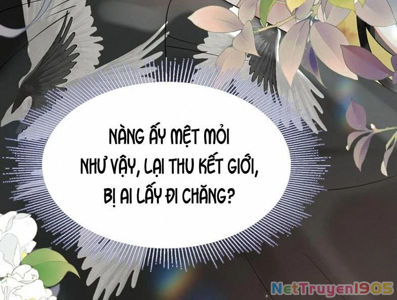 Đông Hải Tìm Mỹ Nhân Chapter 20 - Trang 2