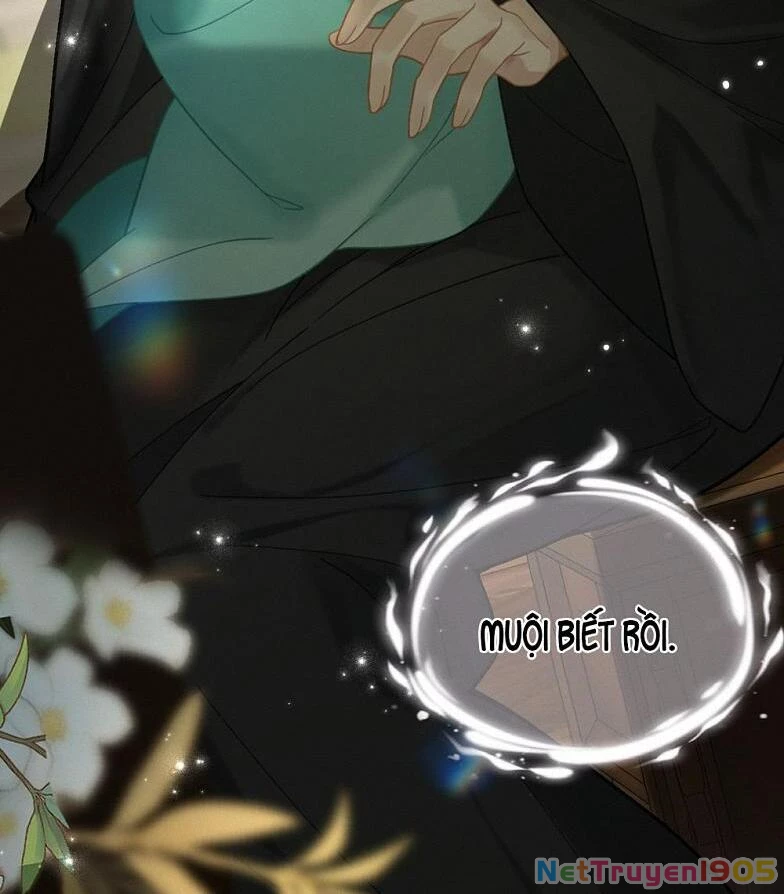 Đông Hải Tìm Mỹ Nhân Chapter 20 - Trang 2