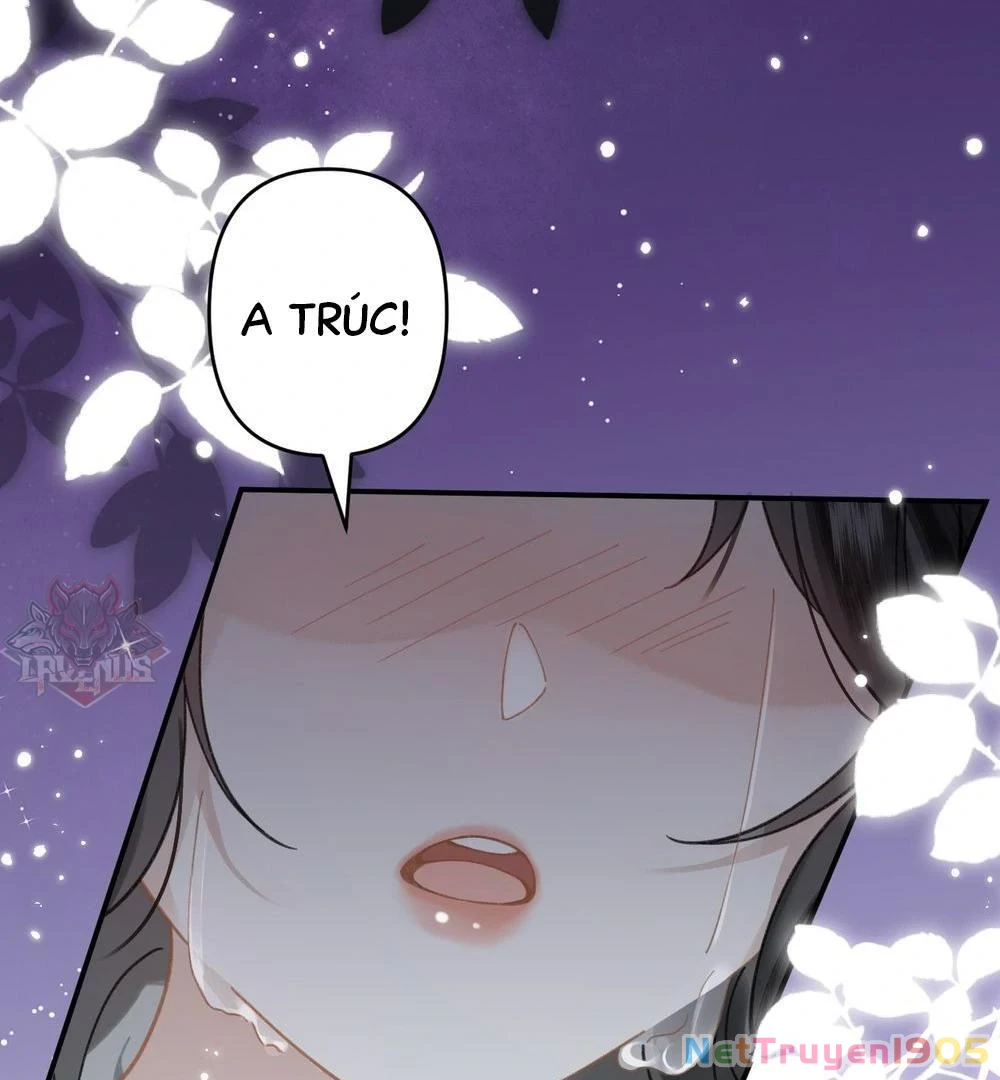 Đông Hải Tìm Mỹ Nhân Chapter 21 - Trang 2