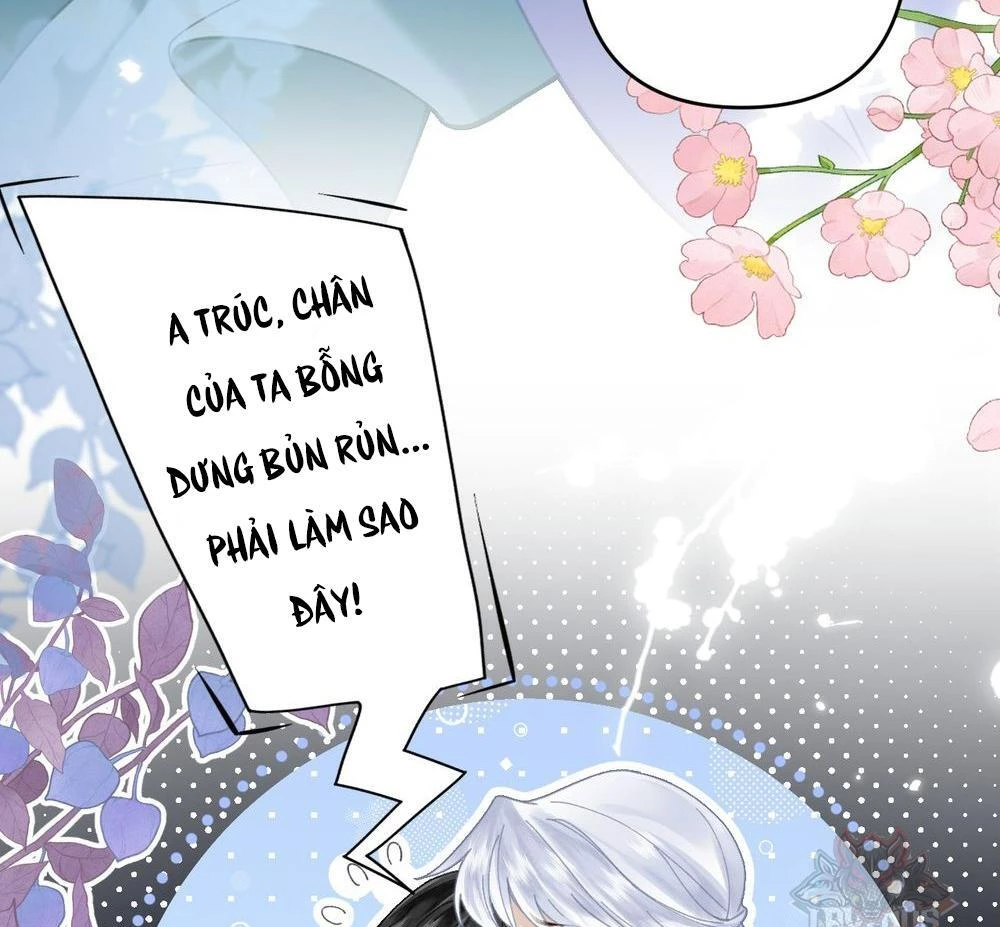 Đông Hải Tìm Mỹ Nhân Chapter 21 - Trang 2