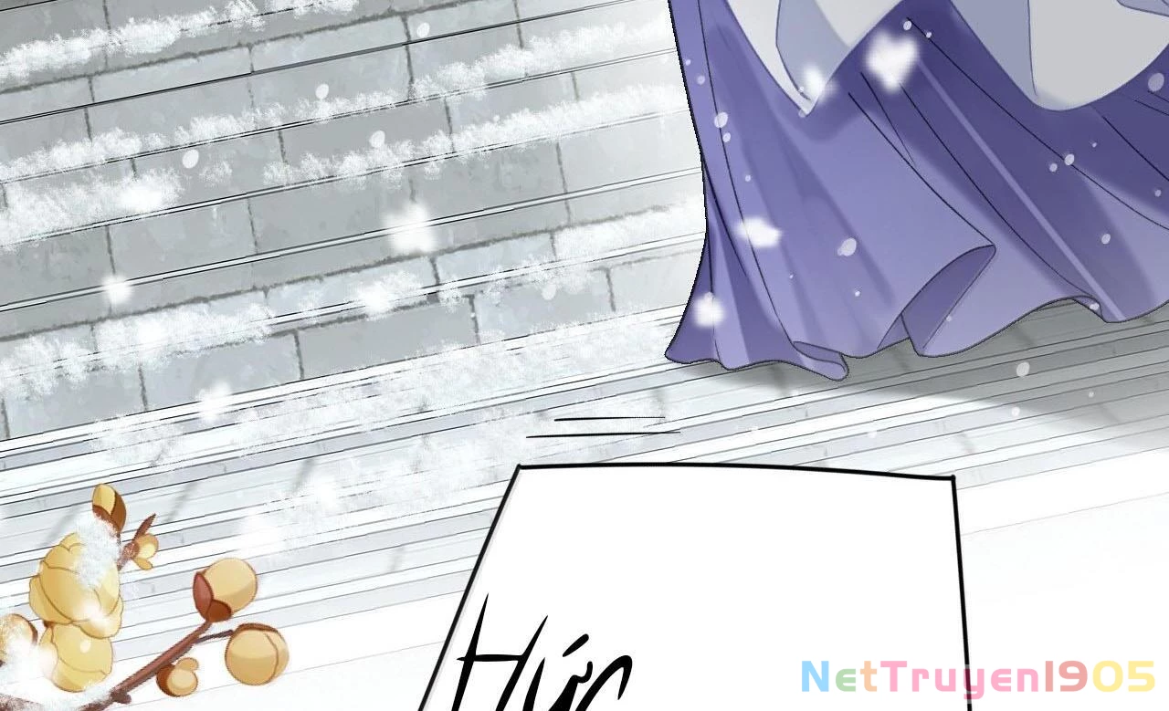 Đông Hải Tìm Mỹ Nhân Chapter 25 - Trang 2